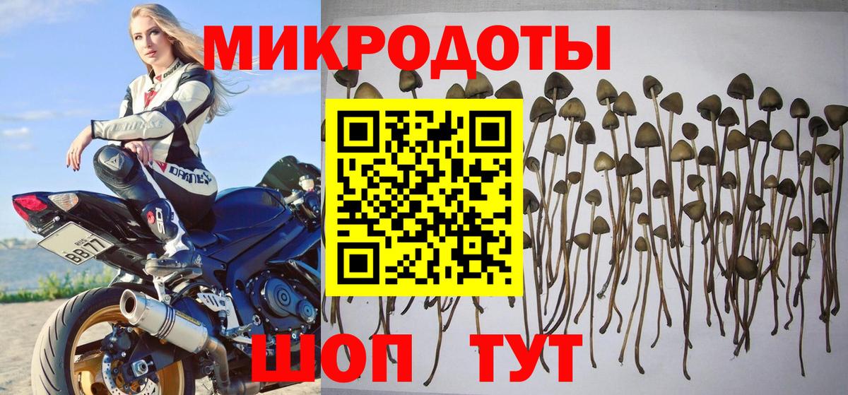 Псилоцибиновые грибы Psilocybe  Вход с VPN  Псилоцибиновые грибы GOLDEN TEACHER  Иркутск 