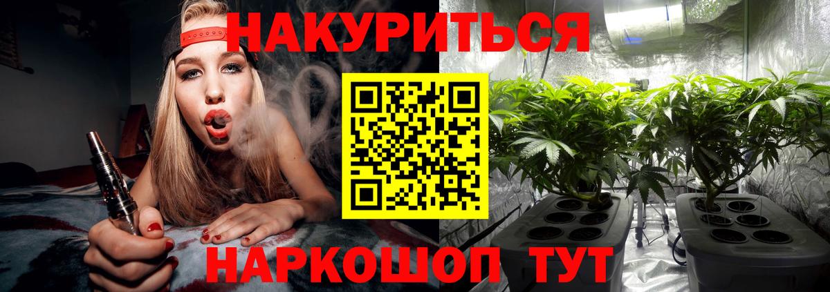 Иркутск  Каннабис планчик  Каннабис гибрид  Конопля SATIVA & INDICA  Вход с VPN 